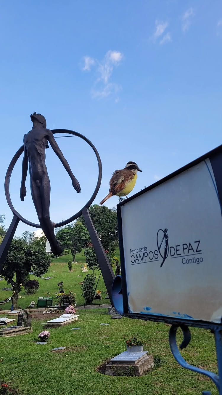 Homenaje a un ser querido fallecido