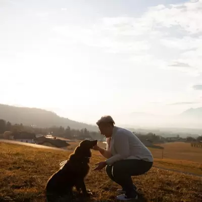 funeraria para mascotas Bogotá